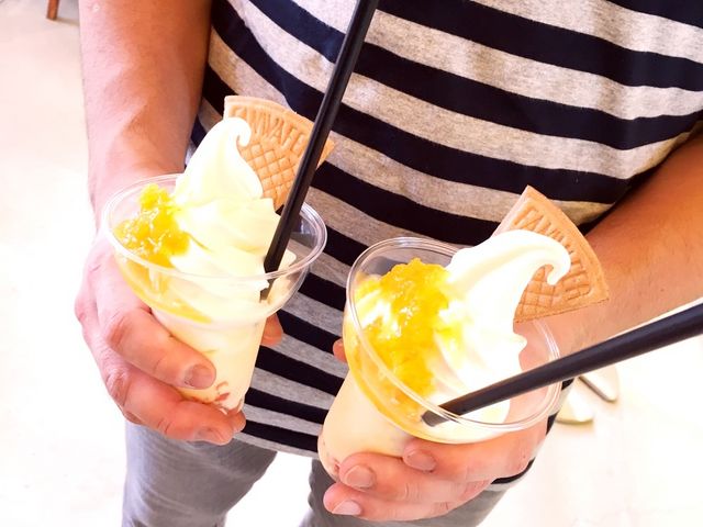 ptF_X_[OgVbv@VwrCoCoLo ٓX