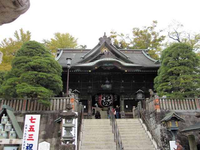 2016N1114BejucRVmv_cRVm