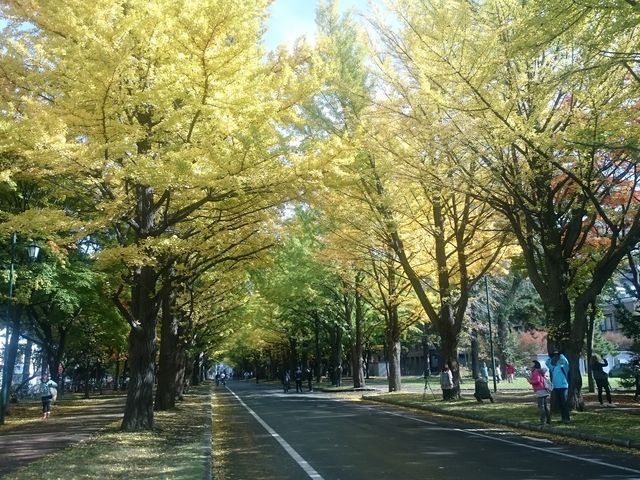 �g�t�I��_�k��C�`���E����