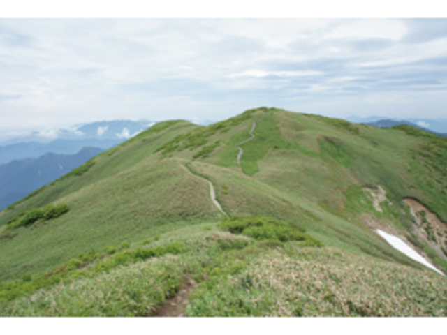 ؂񂬂񂳂̐mqR̓eʐ^1