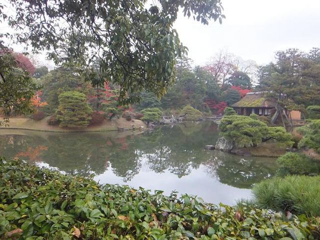 ���h�Ȃ���_�j���{