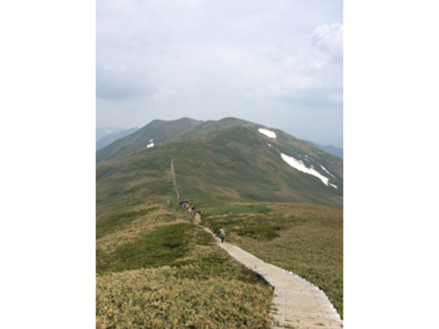 ؂񂬂񂳂̕WR̓eʐ^1