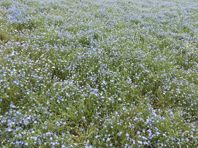 bL[̂̂{wЂȂClOX̓eʐ^1