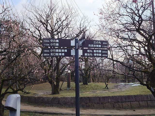 �ē���_�����Ï�����i��Ձj