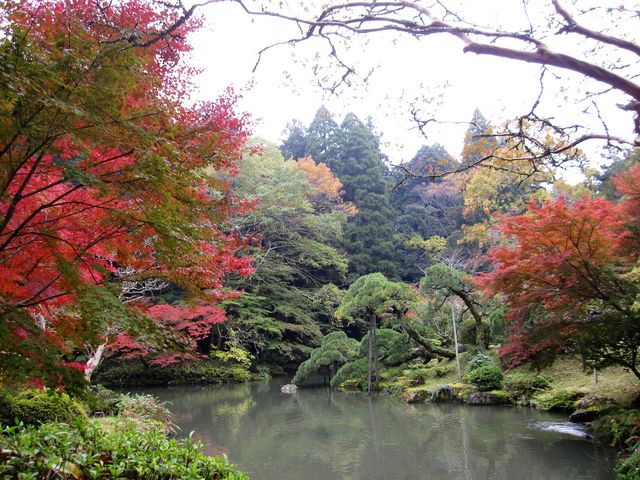 2016N1114BejucR̍gtv_cR̍gt