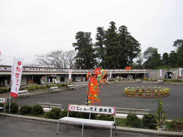 2016N11Bej{kЁEF{nkxucRgt܂v_cR̍gt