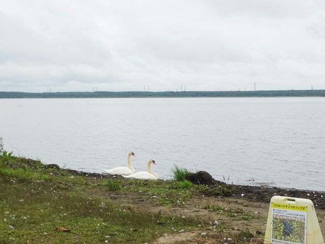 ����_���̉w �E�g�i�C��