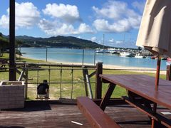 �Ђ�s��������̂��ƂԌ��C���ւ̓��e�ʐ^1