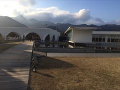 [݁[̃ANACOjXЉւ̓eʐ^1