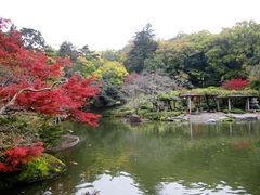 成田山公園の紅葉 アクセス 営業時間 料金情報 じゃらんnet