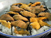 CJ񂳂̂ɂ߂H ͂ق̓eʐ^2