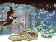 asukãCI[ꃉCJ̓eʐ^3