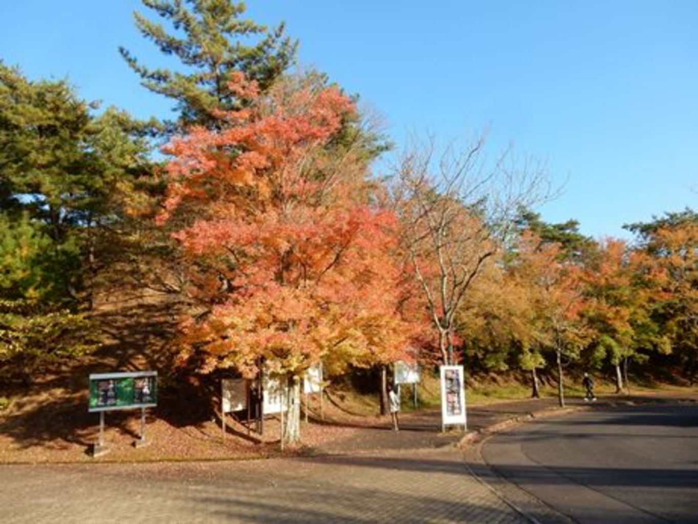 岐阜県百年公園