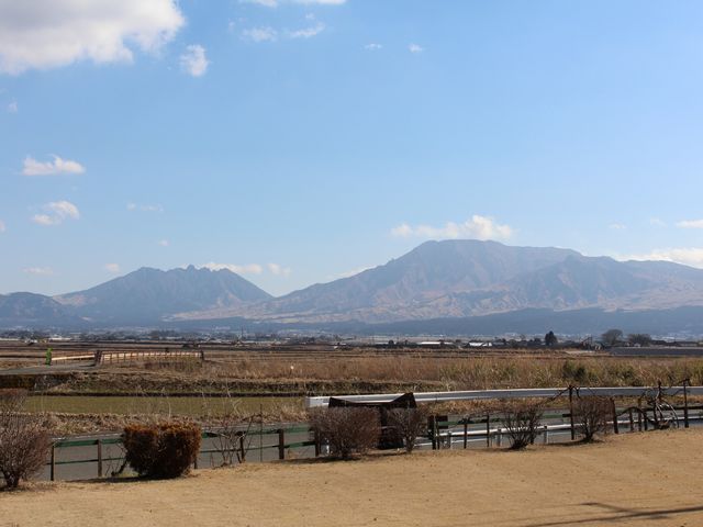 sUnEX-3_sUnEX z^̗uv