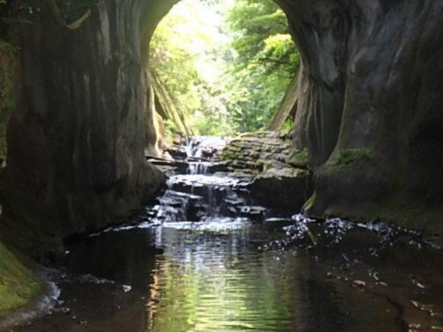 ̔ˉ͂̓Ǝԑтɂĕς܂B_Zȃ