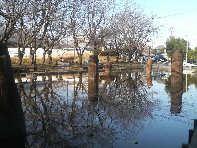 Ƃ񂳂̋͐싴r̓eʐ^3