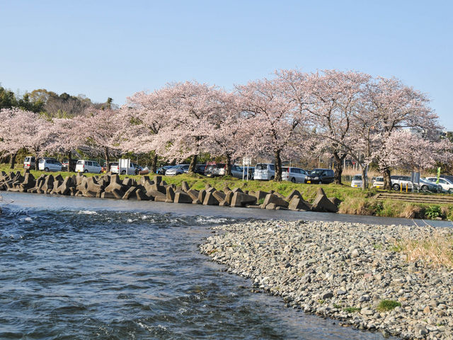 ��{���N�L��̍�_��{���N�L��̍�