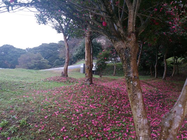 ���쉮��ՁB_���쉮���