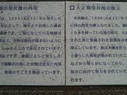 Ƃ񂳂̋͐싴r̓eʐ^5