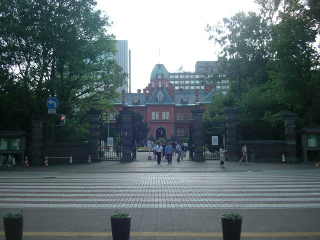 �Ԃ�񂪃e���X���璡��_�k�C�������{����(�Ԃ�񂪒���)