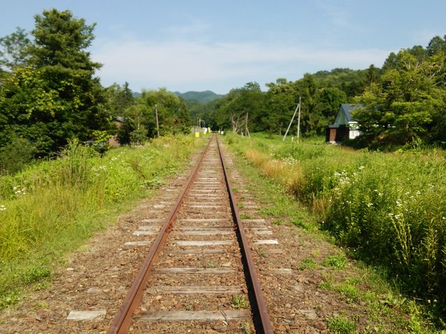 �g���b�R��Ԓ��̎ԑ�_�O�}�S���L�O��