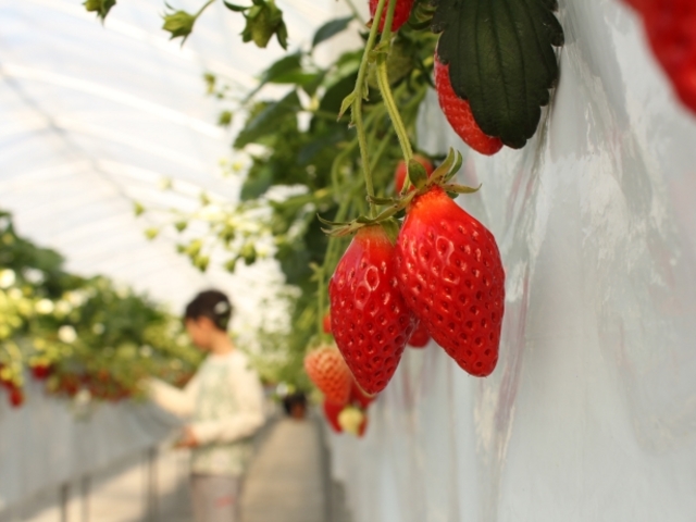 �^���ԂȂ����������������_���߂�������䕉�