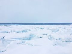 ܂݂̃ViSHINRAjւ̓eʐ^1