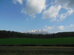 ツヨシさんの小岩井農場からの岩手山の投稿写真1