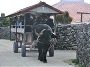 ۂƂ񂳂̐Ԋό̓eʐ^1