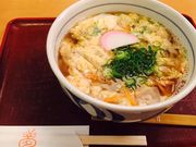 ����������̖���V �O�h�X�̓��e�ʐ^1