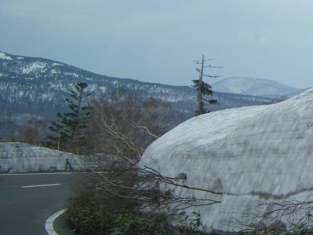 �������̓��H_������