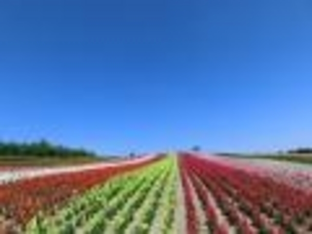 �������������܂��l�����Ȃ��ł�_�l�G�ʂ̋u