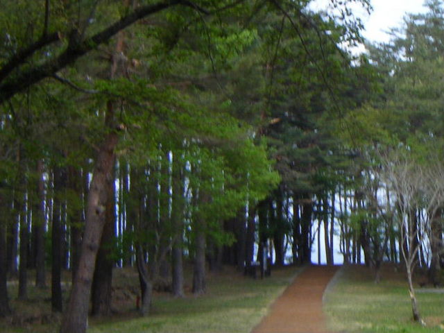 �L�̑��f�R�W�]��_�L�̑��f�R�W�]��