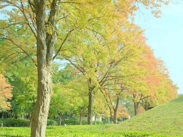 �΂ɖ�����܂�_���ˑ勴�L�O����