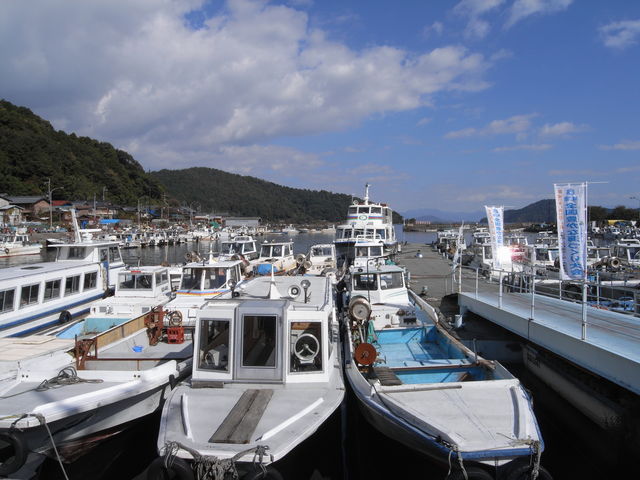 ����_����