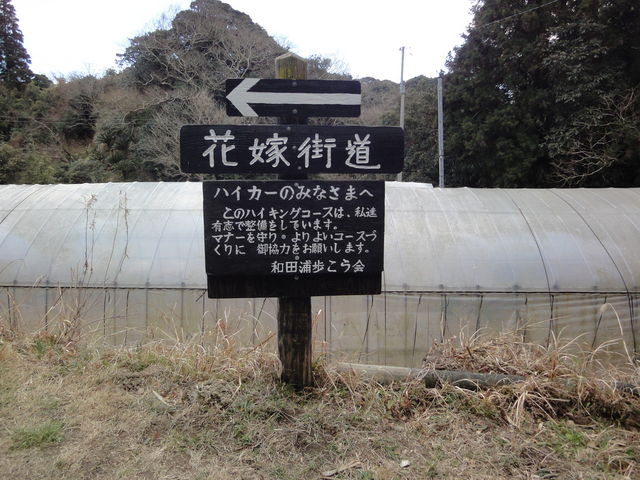 �킩��Ղ��G��R�ւ̓����_�ԉŊX���ƍ���A�����V����A�U��R�[�X