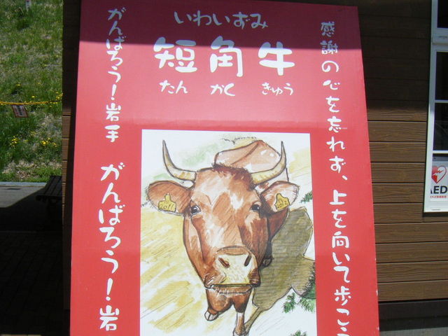 ���̉w�@���킢���� �Z�p��_���̉w ���킢����