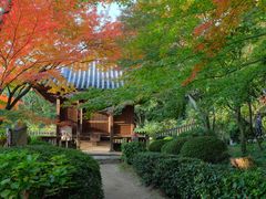 みぽりんさんの白峯寺の投稿写真1
