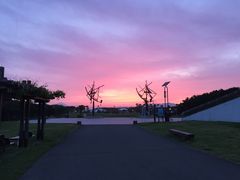 ポさんの神奈川県立辻堂海浜公園の投稿写真1