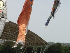 ATṼEFlXp[NܐFւ̓eʐ^1