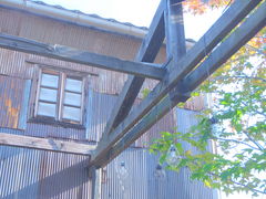 ݂ۂ񂳂̖klalleyւ̓eʐ^1