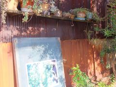 ݂ۂ񂳂̖klalleyւ̓eʐ^2