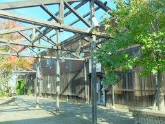 ݂ۂ񂳂̖klalleyւ̓eʐ^3