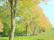 ݂ۂ񂳂̐ˑ勴LO̓eʐ^1