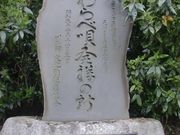 light̎OF_Ёi̓V_lj̓eʐ^1