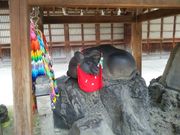 R[q[񂳂̂Ȃŋ̓eʐ^1