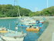 みぽりんさんの沙弥島への投稿写真3