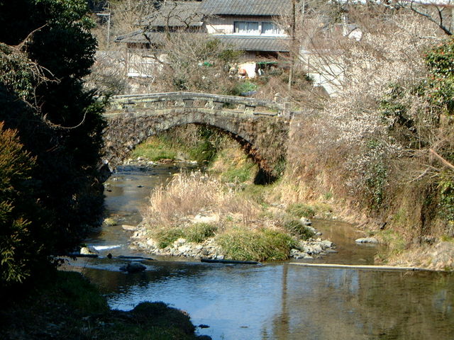 �Ԃ���񂳂�̍��⋴�̓��e�ʐ^1