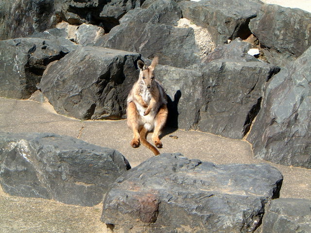 ���b�N�����r�[_�Ђт��������[���h