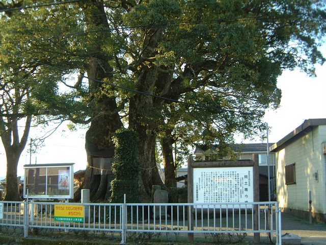 Ԃ񂳂̓ݓy̏̓eʐ^1